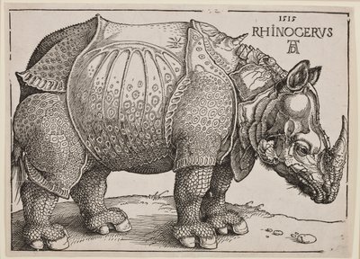 The Rhinoceros by Albrecht Dürer